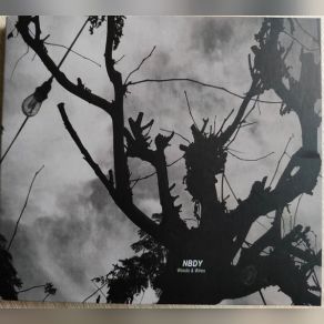 Woods & Wires album cover