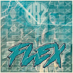 Flex album cover