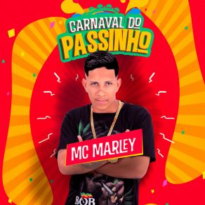Carnaval Do Passinho album cover