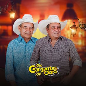 Forrozin Dos Gargantas (Cover) album cover