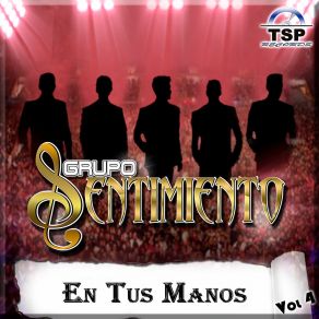 En Tus Manos, Vol 4 (En Vivo) album cover