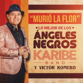 Murió La Flor: Lo Mejor De Angeles Negros album cover