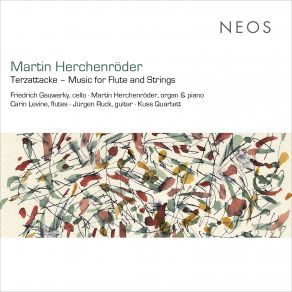 Martin Herchenröder: Terzattacke – Music For Flute & Strings album cover