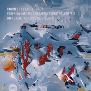Different Aspects Of Silence album cover