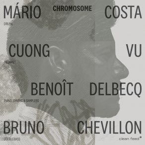 Chromosome album cover