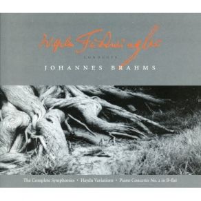 Wilhelm Furtwängler Conducts Johannes Brahms album cover