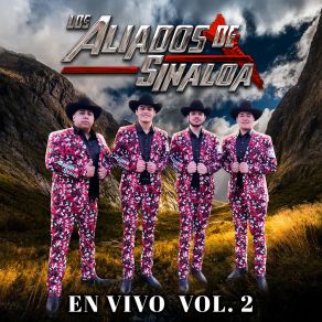 En Vivo, Vol. 2 album cover