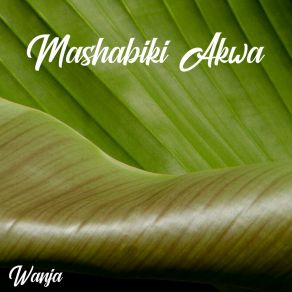 Mashabiki Akwa album cover