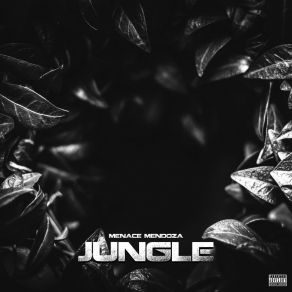 Jungle album cover