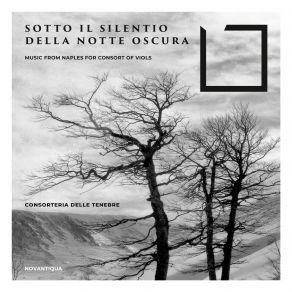 Sotto Il Silentio Della Notte Oscura (Music From Naples For Consort Of Viols) album cover