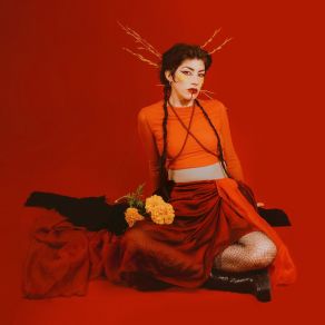 Shima album cover