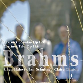 Clarinet Sonatas Op. 120 & Clarinet Trio Op. 114 album cover