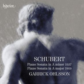 Schubert: Piano Sonatas D537 & 959 album cover