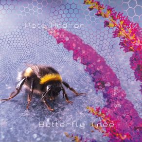 Butterfly Tree album cover