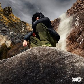 MOUNTAIN BUFFALO album cover