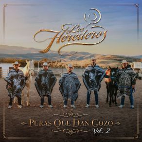 Puras Que Dan Gozo, Vol. 2 album cover