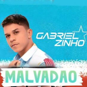 Malvadão album cover
