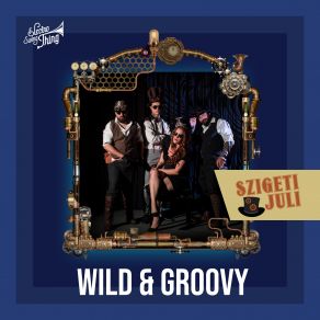 Wild & Groovy album cover