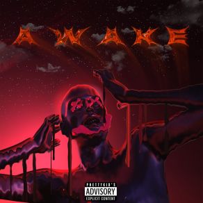Awake album cover