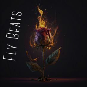 Fly Beats album cover