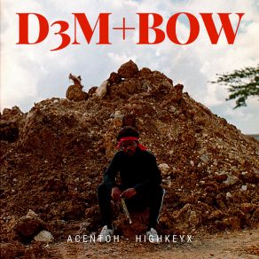 D3M + Bow album cover