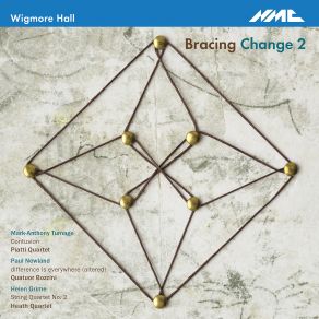 Bracing Change 2 album cover