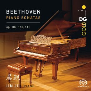 Beethoven Piano Sonatas album cover