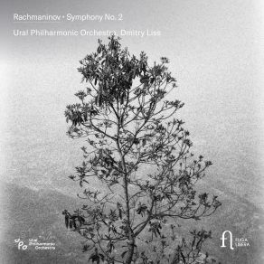 Rachmaninov: Symphony No. 2 album cover