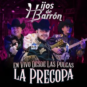 La Precopa (Desde Las Pulgas) (En Vivo) album cover