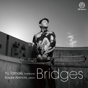 Bridges album cover