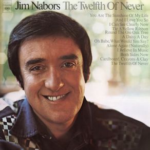 The Twelfth Of Never album cover