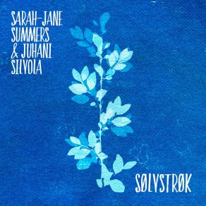Sølvstrøk album cover