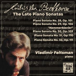 Beethoven: The Late Piano Sonatas album cover