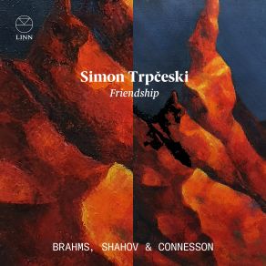 Friendship album cover