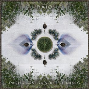 Pachamantra Vol. 2 album cover