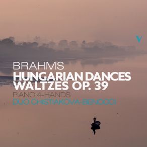 Brahms: 21 Hungarian Dances, WoO 1 & 16 Waltzes, Op. 39 album cover