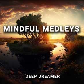 Mindful Medleys album cover