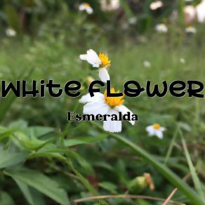 White Flower album cover