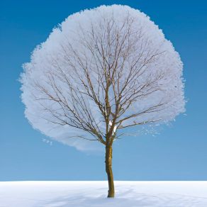 4 Seasons album cover
