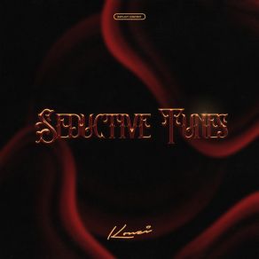Seductive Tunes album cover