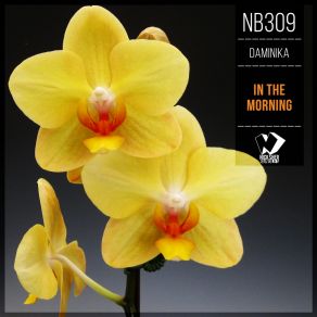 In The Morning album cover