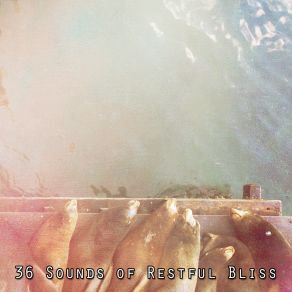 36 Sounds Of Restful Bliss album cover