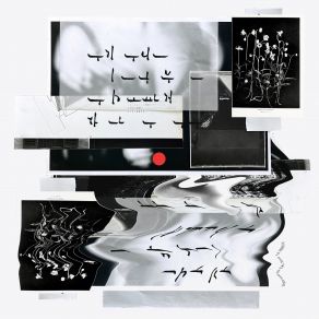 Ingenieur Du Son album cover