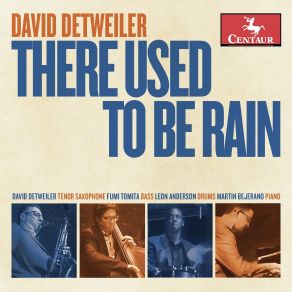 There Used To Be Rain album cover