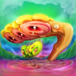 Spalarkle album cover