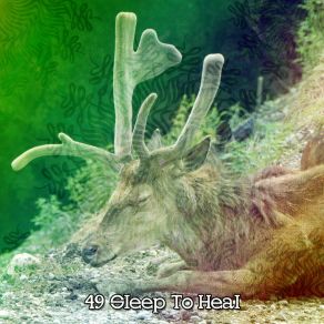49 Sleep To Heal album cover