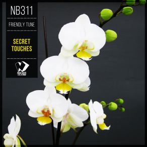 Secret Touches (Original Mix) album cover