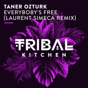 Everybody's Free (Laurent Simeca Remix) album cover