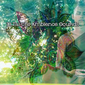 38 Tai Chi Ambience Sounds album cover