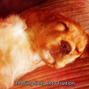 33 Bring Sleep Into Fruition album cover